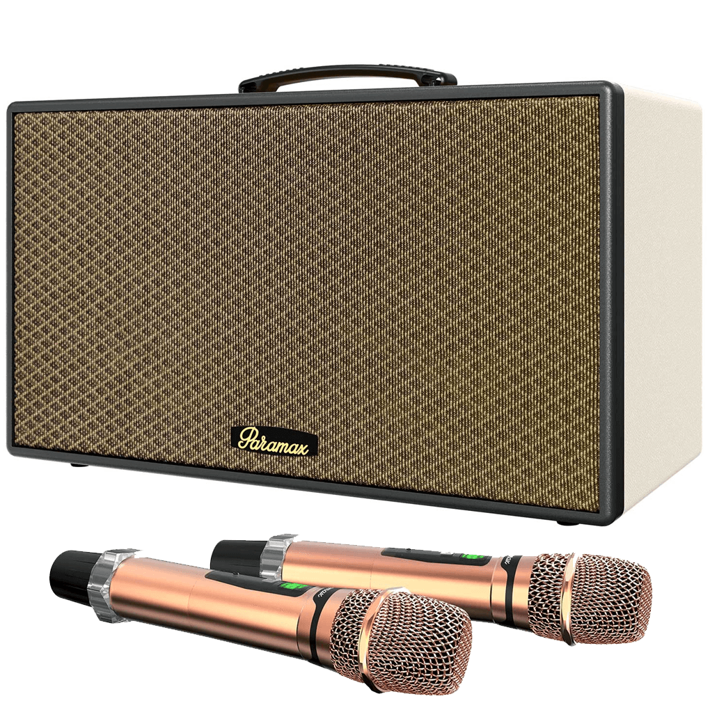 Loa Karaoke Di Động Xách Tay Paramax Aura (Cream Leather)