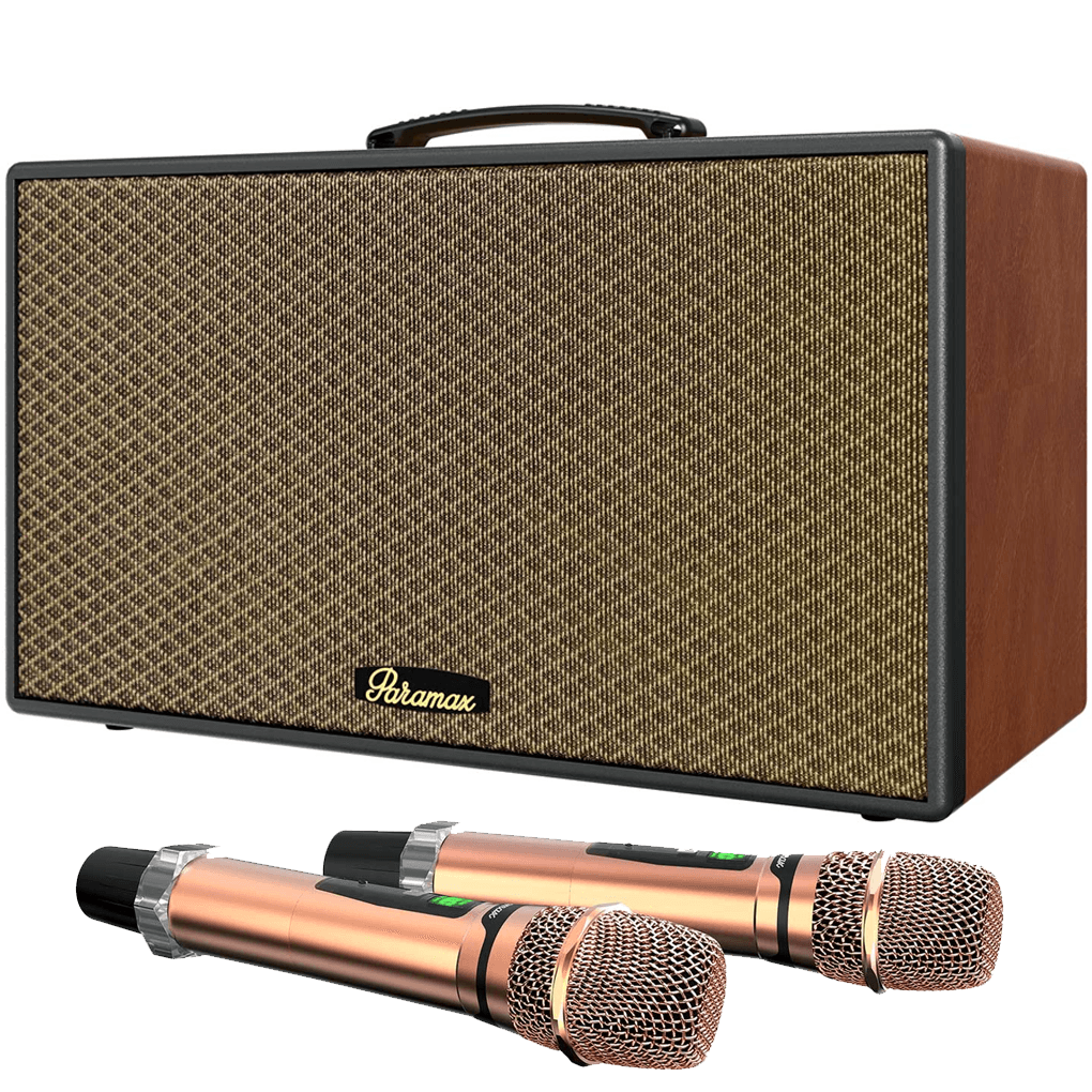 Loa Karaoke Di Động Xách Tay Paramax Aura (Brown Leather)