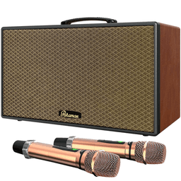 Loa Karaoke Di Động Xách Tay Paramax Aura (Brown Leather)