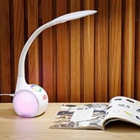 Đèn bàn học Điện Quang ĐQ LDL06