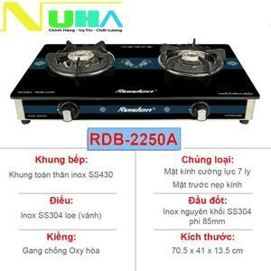 Ảnh Bếp gas dương Raiden RDB-2250A