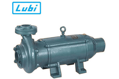 Ảnh Máy bơm chìm trục ngang Lubi LHL-10 7.5HP