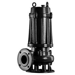 Ảnh Máy bơm chìm nước thải CNP 80WQ40-15-4