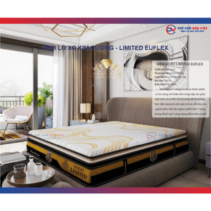Ảnh Nệm lò xo Kim Cương Euflex Limited