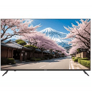 Ảnh Smart Tivi Sharp 4K 55 inch 4T-C55FM2X