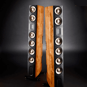 Ảnh Loa Raidho XT-5