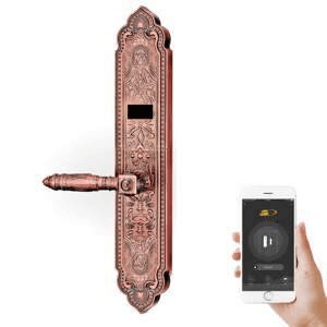 Ảnh Khóa vân tay 5A DK6000