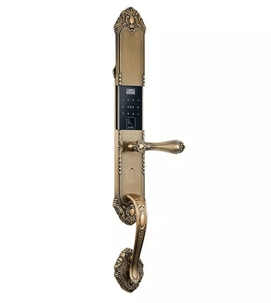 Ảnh Khóa vân tay cổ điển Tenon F3