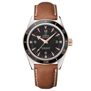 Ảnh Đồng hồ nam Omega 233.22.41.21.01.002