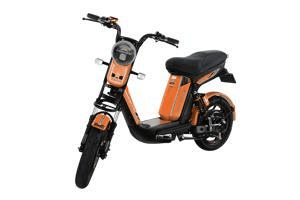 Ảnh Xe đạp điện Osakar Star