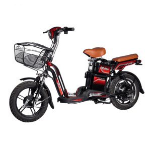 Ảnh Xe đạp điện DK Poke