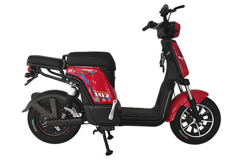 Ảnh Xe đạp điện Martin G7