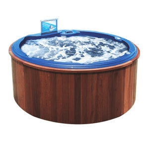Ảnh Bồn tắm massage Nofer SPA-003 (có sục khí, Tivi LCD)
