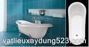 Ảnh Bồn tắm chân rồng việt mỹ CRV-17