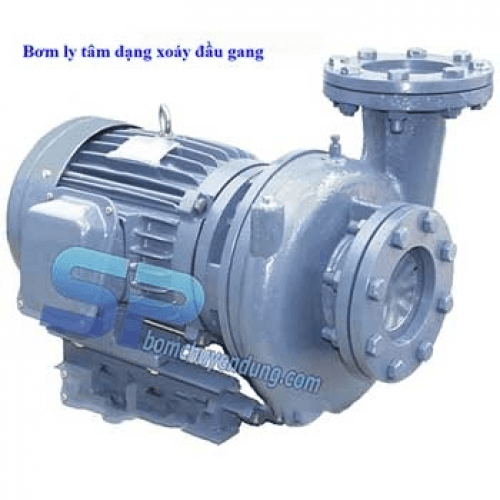 Ảnh Máy bơm ly tâm dạng xoáy đầu gang NTP HVP2125-111 205 15HP