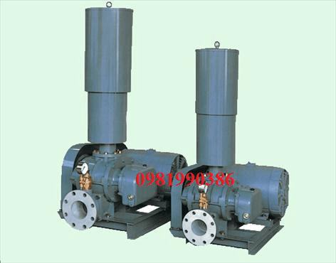 Ảnh Máy thổi khí Tsurumi RSR-80