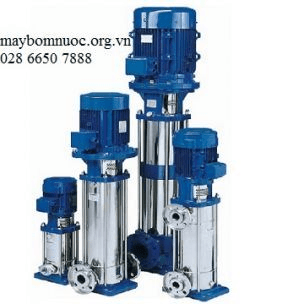 Ảnh Bơm ly tâm trục đứng đa tầng cánh Ebara Evm 10 20F5/7.5