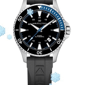 Ảnh Đồng hồ nam Hamilton Khaki H82315331