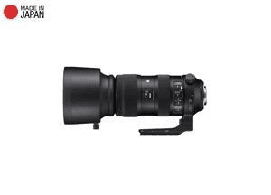 Ảnh Ống kính - Lens Sigma 60-600mm f/4.5-6.3 DG OS HSM