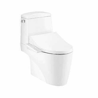 Ảnh Bồn cầu 2 khối nắp rửa điện tử Cotto C13527(CV3)