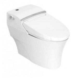 Ảnh Bồn cầu American Standard WP-5017, nắp rửa điện tử