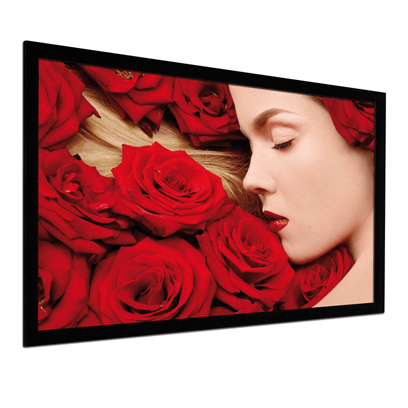 Ảnh Màn chiếu DNP Core 153 inch (2.35:1)