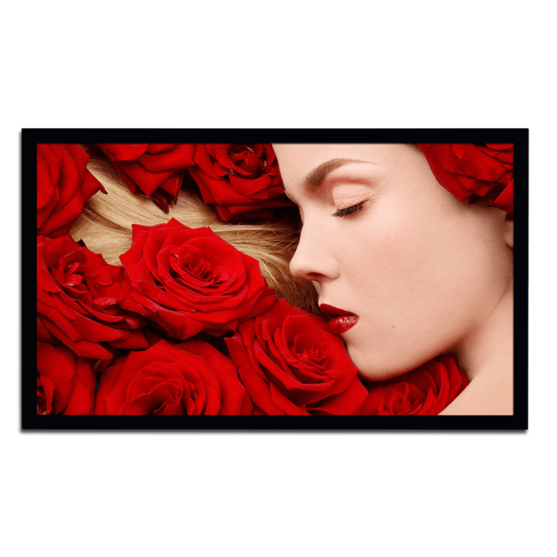 Ảnh Màn chiếu DNP Core 110 inch
