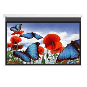 Ảnh Màn chiếu DNP Flex 100 inch