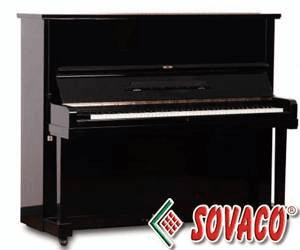 Ảnh Đàn Piano Earl Windsor W112