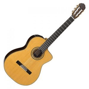Ảnh Đàn guitar Takamine TH5C