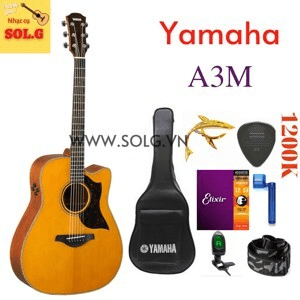 Ảnh Đàn Guitar Acoustic Yamaha A3M