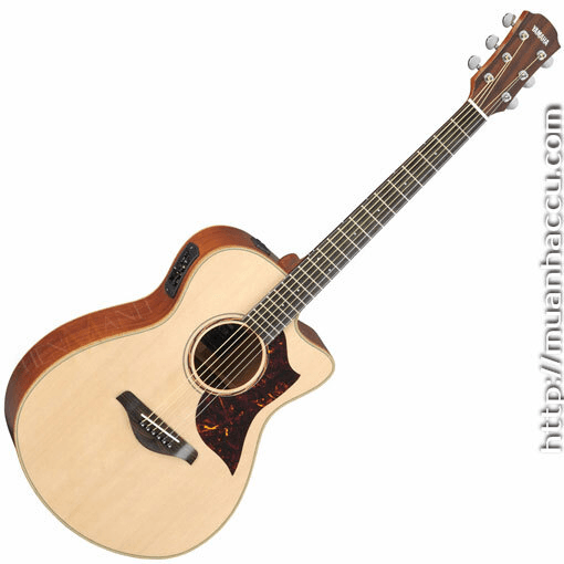 Ảnh Đàn Guitar Acoustic Yamaha AC3M