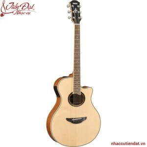 Ảnh Đàn Acoustic guitar Yamaha APX700II