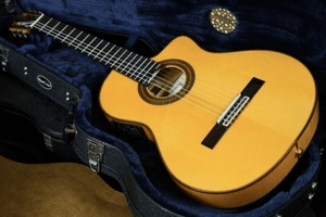 Ảnh Đàn guitar Cordoba 55FCE – Honey Amber