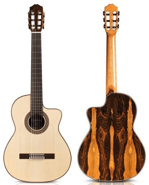 Ảnh Đàn guitar Cordoba 55FCE NEGRA