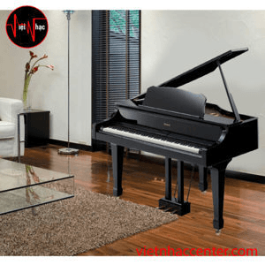 Ảnh Đàn Piano điện Roland RG-3F