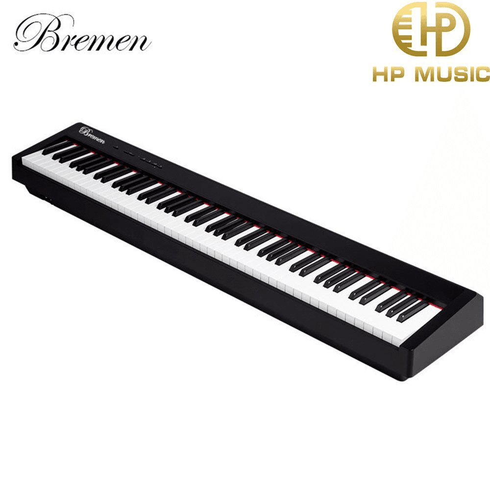 Ảnh Đàn piano Bremen BM310