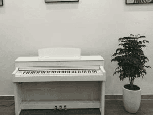 Ảnh Đàn Piano Điện Yamaha SCLP 6450