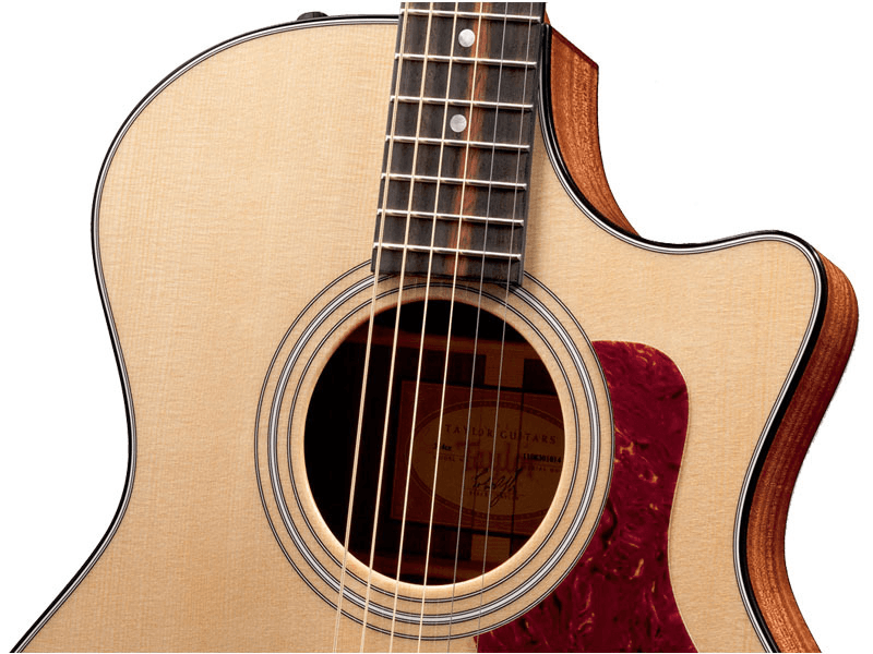 Ảnh Đàn Guitar Taylor 312CE
