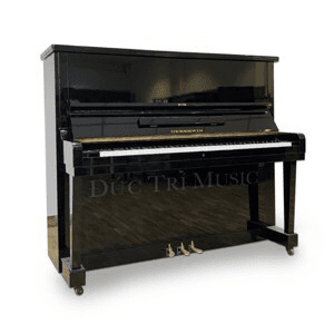 Ảnh Đàn piano Gershwin No 500