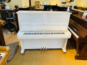 Ảnh Đàn Piano Morgenstern