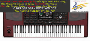 Ảnh Đàn Organ Korg PA700