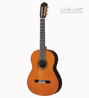Ảnh Đàn Guitar Yamaha GC22C