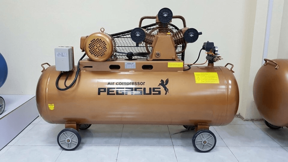 Ảnh Máy nén khí chạy dầu diesel Pegasus TM-W-1.6/8-500L