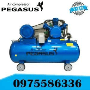 Ảnh Máy nén khí dây đai Pegasus TM-W-0.67/12.5-230L-7.5HP