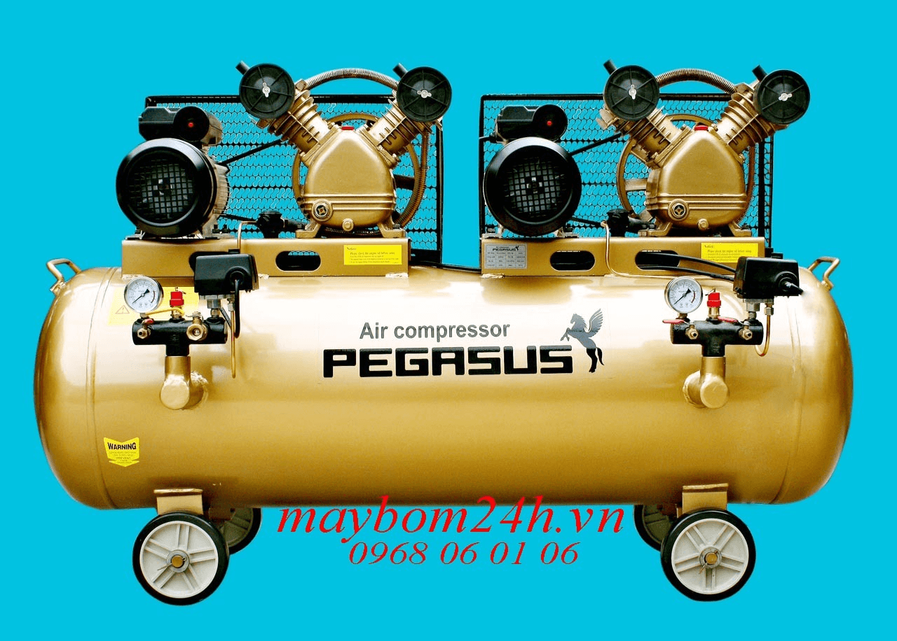 Ảnh Máy nén khí Pegasus TM-V-0.25/8x2-230L