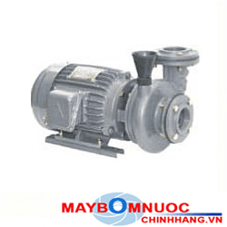 Ảnh Máy bơm ly tâm trục ngang đầu gang dạng xoáy NTP HVP380-17.5 205 10HP