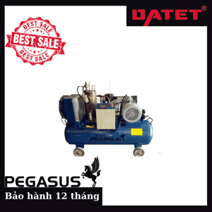 Ảnh Máy nén khí trục vít Pegasus TMTV-7.5A
