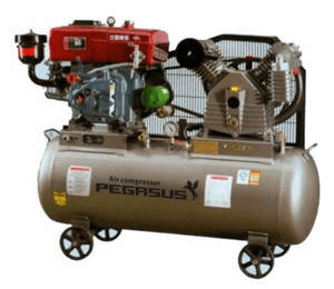 Ảnh Máy nén khí chạy bằng dầu Diesel Pegasus TM-W-1.6/12.5-500L