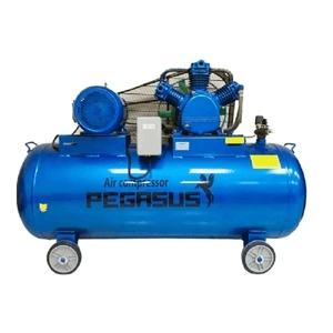 Ảnh Máy nén khí Pegasus TM-W-2.0/12.5-330L